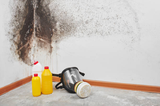 Best Mold Remediation  in Coulee Dam, WA