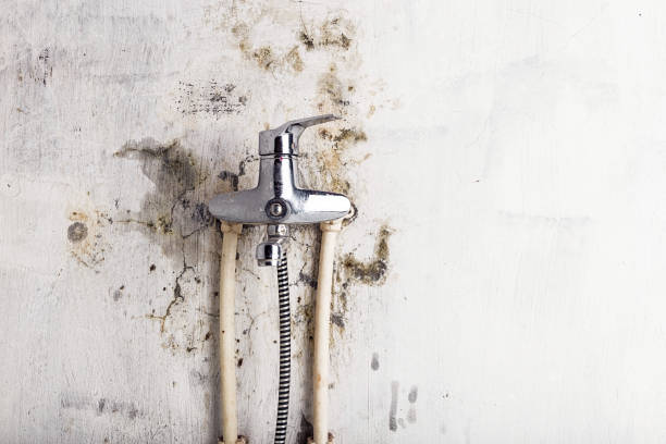 Best Mold Remediation  in Coulee Dam, WA