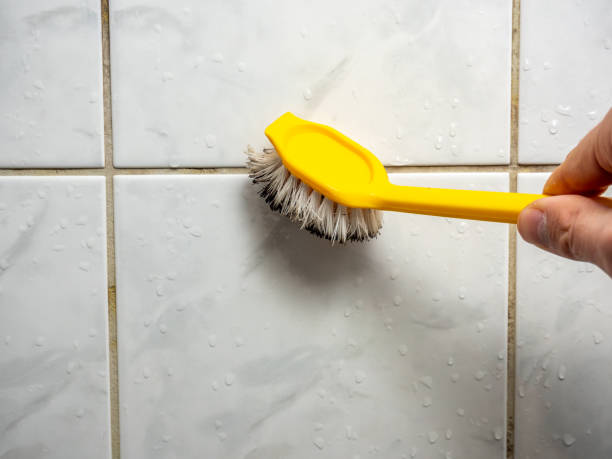 Best Mold Cleaning Services  in Coulee Dam, WA