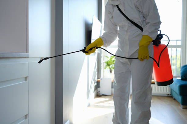 Best Home Mold Removal  in Coulee Dam, WA