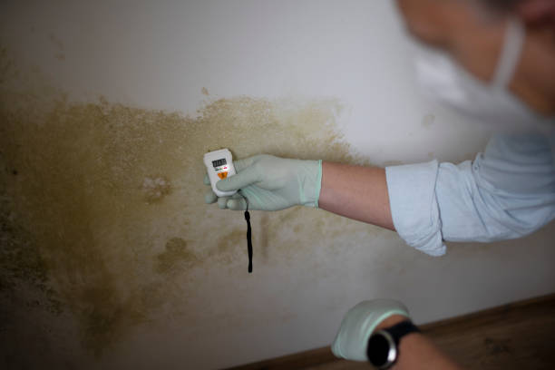 Best Mold Testing  in Coulee Dam, WA
