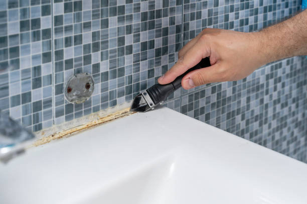 Home Mold Removal in Coulee Dam, WA