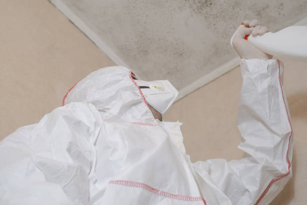 Best Residential Mold Removal  in Coulee Dam, WA