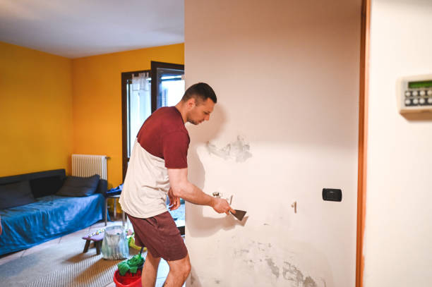 Best Mold Removal Specialists  in Coulee Dam, WA